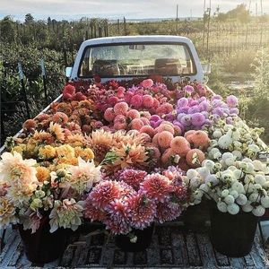 Meet your Posher, Brooke